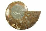 Cut & Polished Ammonite Fossil (Half) - Madagascar #354143-1